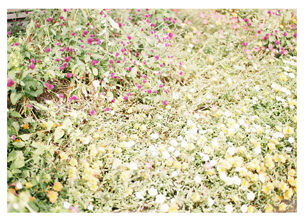 http://www.yaotomi.co.jp/blog/photo/2.jpg