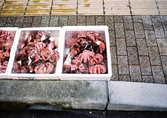 http://www.yaotomi.co.jp/blog/photo/32.jpg