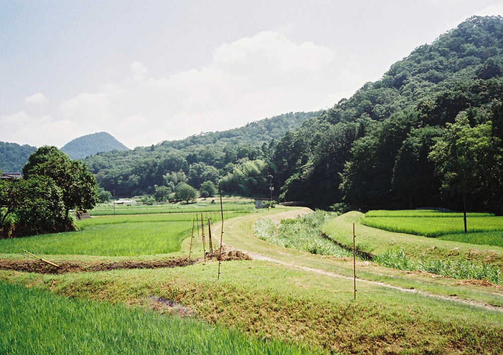 http://www.yaotomi.co.jp/blog/photo/s005.jpg