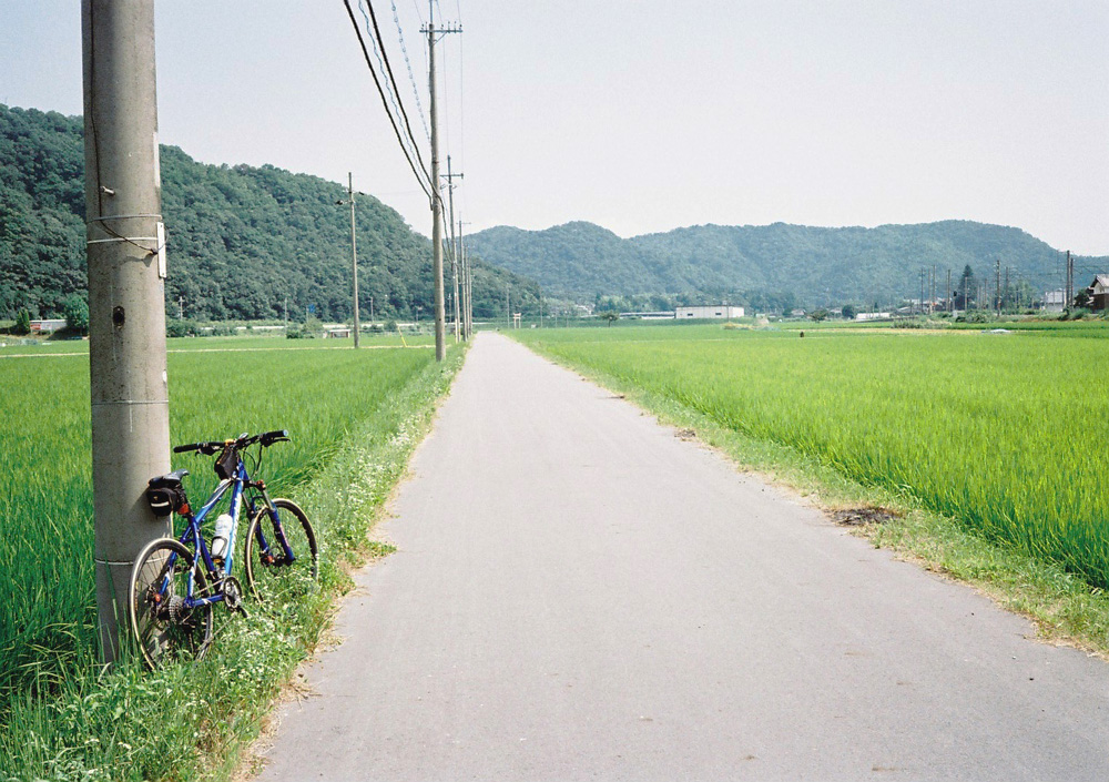 http://www.yaotomi.co.jp/blog/photo/s013.jpg