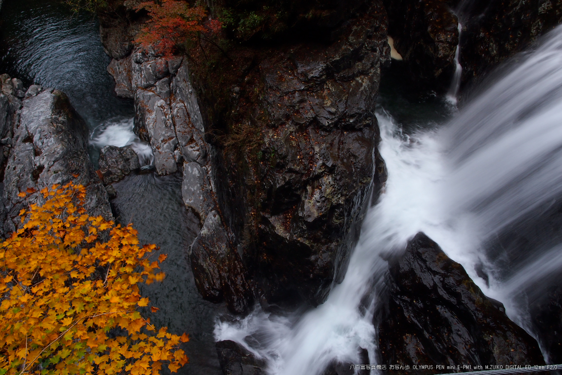 OLYMPUS M ED12F2.0 BLACK 23年1月まで保証あり www.mecadraft.com