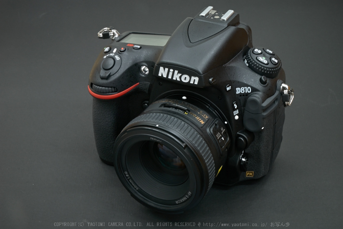 宝泉院 シュウカイドウ（秋海棠）咲く頃 2014 ／ Nikon D810 with AF-S ...