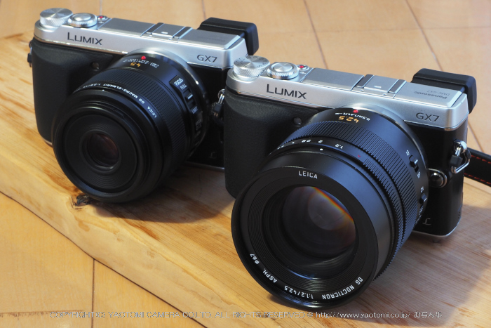 Panasonic LEICA DG NOCTICRON 42.5mm/F1.2 （review） ／ 京都 お写ん ...