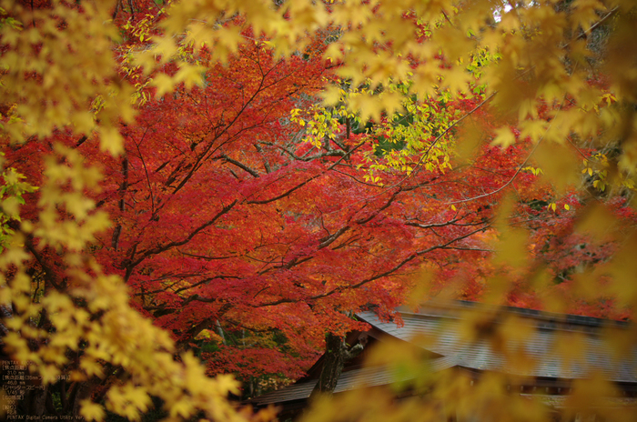 室生寺 紅葉 前編 Fa 31mm F1 8 Al Limited お写ん歩