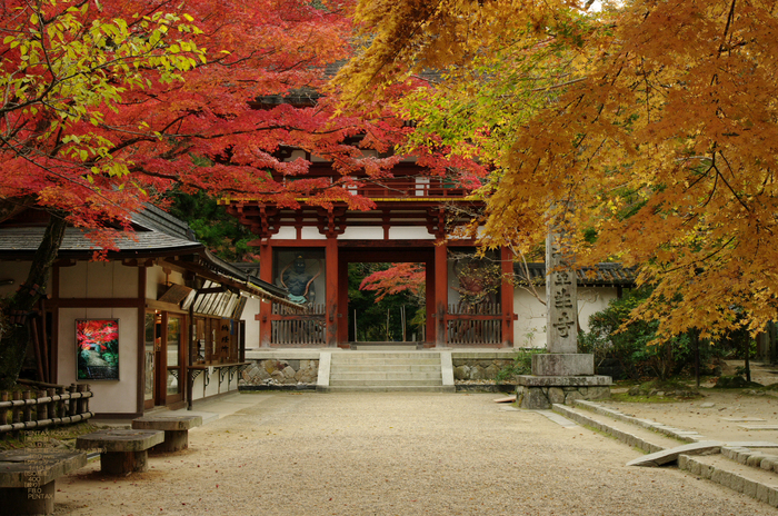 室生寺 紅葉 前編 Fa 31mm F1 8 Al Limited お写ん歩