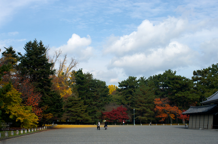 京都御所・紅葉_2.jpg