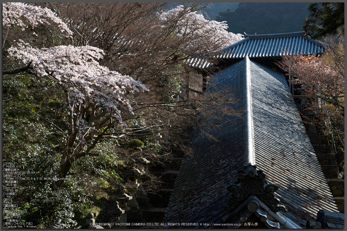 お写ん歩: SIGMA 8-16mm F4.5-5.6 DC HSMアーカイブ