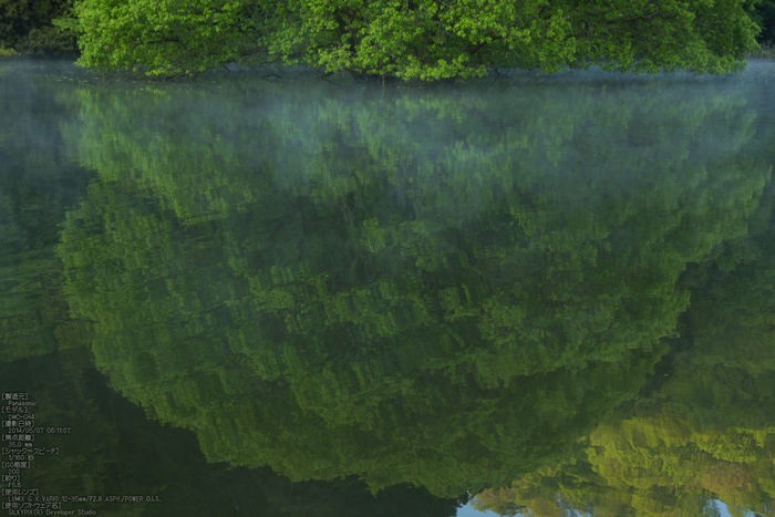 室生湖,新緑(P1120444,35mm,F5,6)2014yaotomi_s.jpg