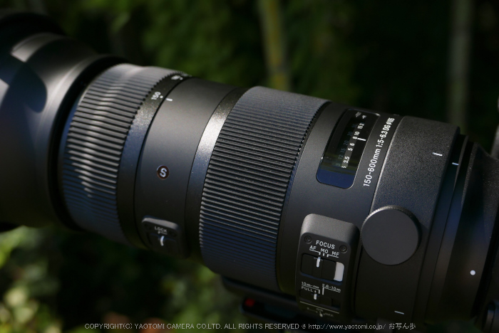 シグマ 150-600mm F5-6.3 DG OS HSM Sports SIGMA with Canon EOS 5D