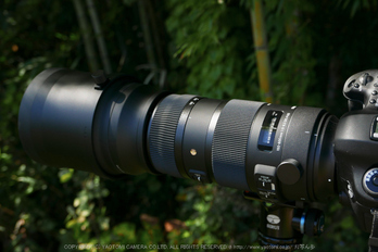 お写ん歩: SIGMA 150-600mm F5-6.3 DG OS HSM Sportsアーカイブ