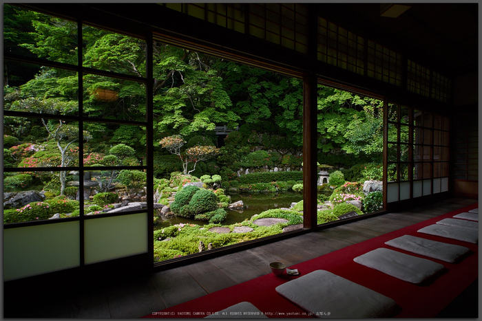 西南院（當麻寺塔頭） 皐月（さつき） 2016 ／ KOWA PROMINAR 8.5mm F2