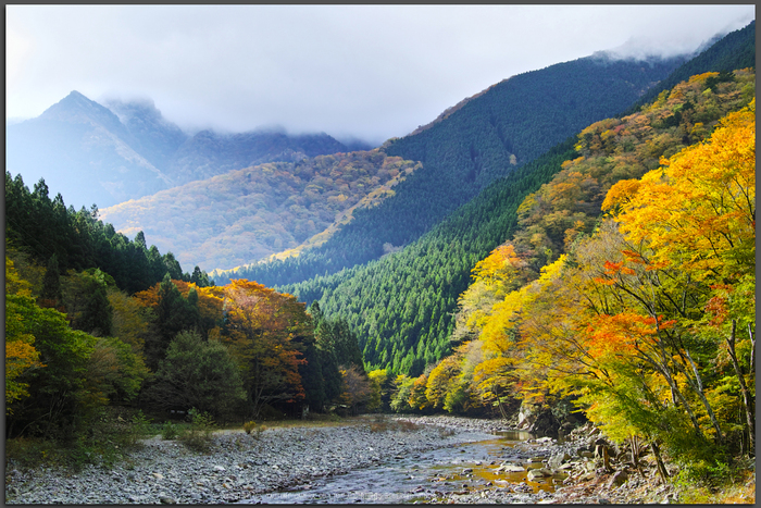 お写ん歩: SIGMA 50-100mm F1.8 DC HSM Artアーカイブ