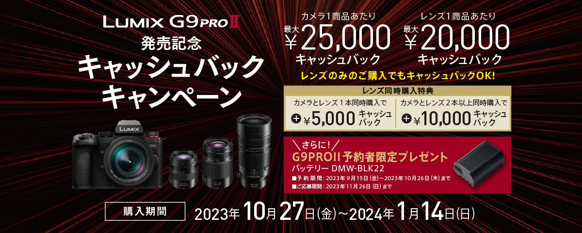 Lumix G9 pro カメラボディ本体　Panasonic