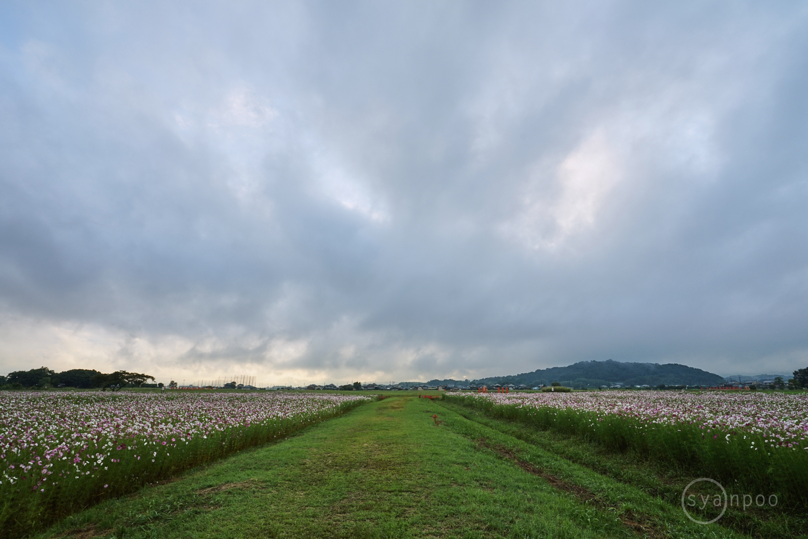 https://www.yaotomi.co.jp/blog/walk/7II08464%2C17%20mm%2CF10%2Ciso200%28JPEG%29.jpg