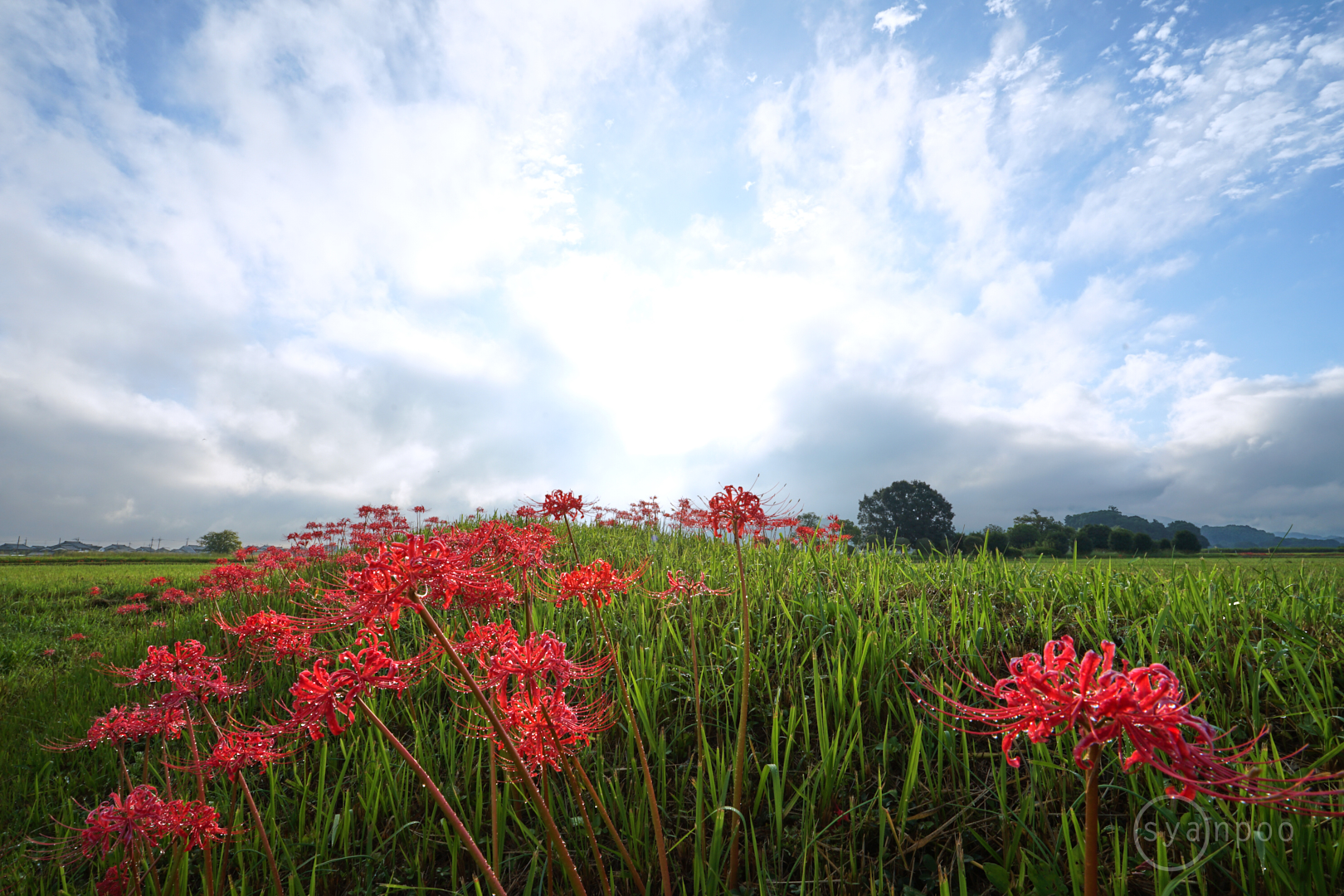 https://www.yaotomi.co.jp/blog/walk/7II08608%2C17%20mm%2CF18%2Ciso100%28JPEG%29.jpg