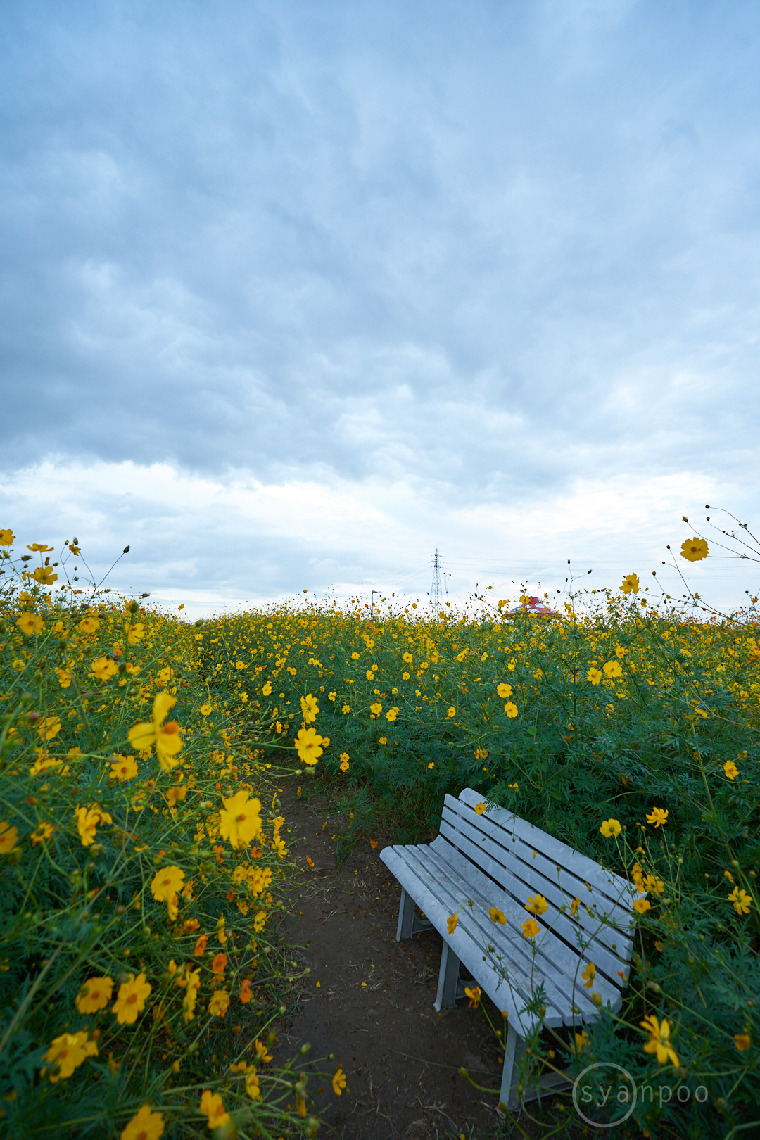 https://www.yaotomi.co.jp/blog/walk/7II08812%2C17%20mm%2CF4.5%2Ciso320%28cRAW%29.jpg