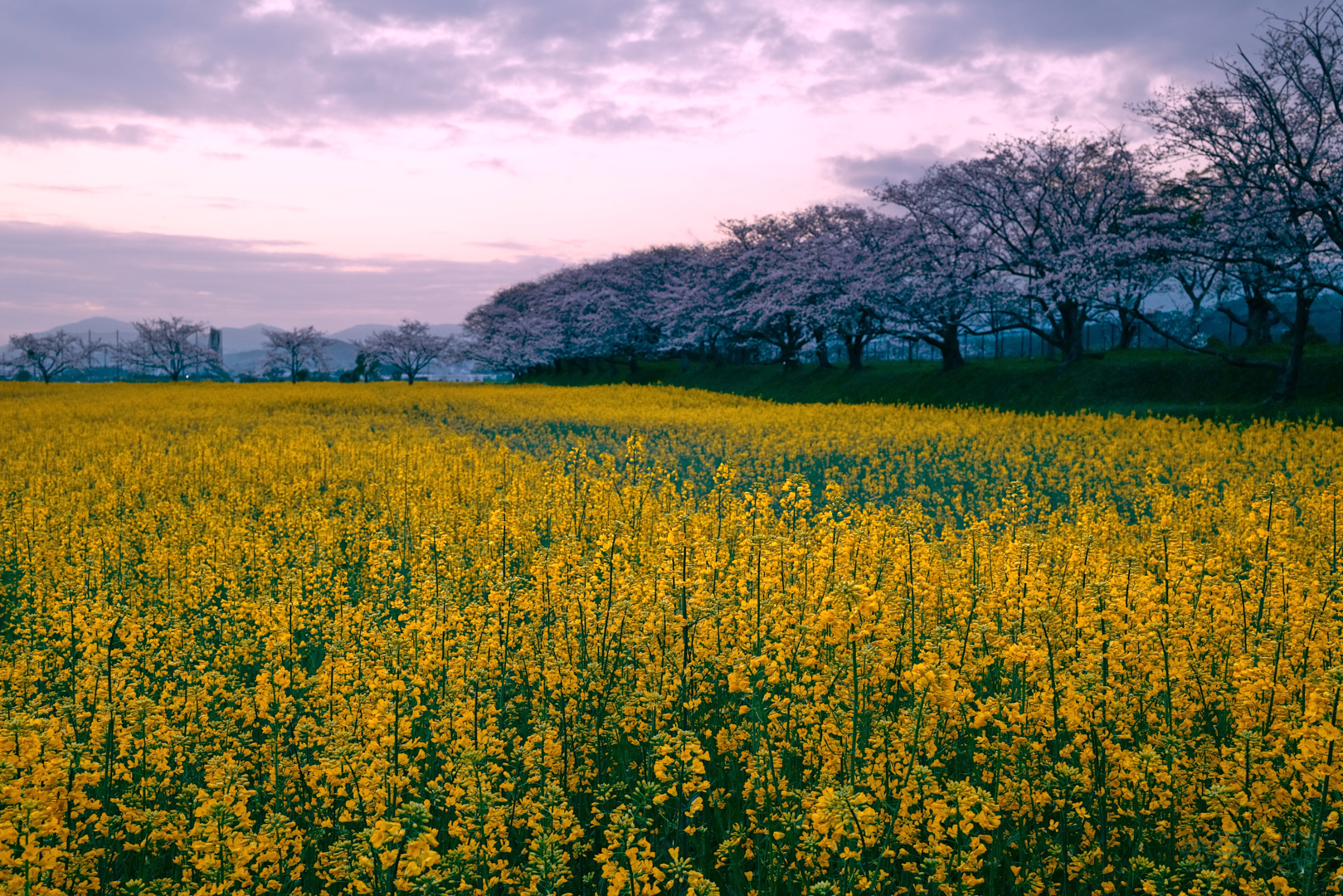https://www.yaotomi.co.jp/blog/walk/BF_00009%2C35%20mm%2CF8%2C1-40%20%E7%A7%92%2Ciso500%28JPEG%29%201.jpg