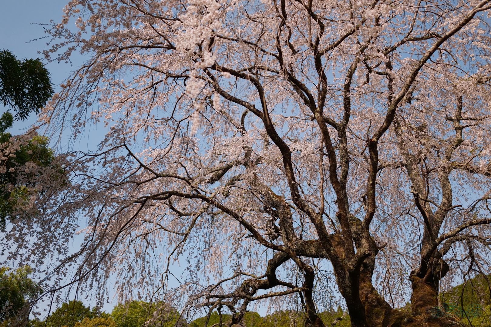 https://www.yaotomi.co.jp/blog/walk/BF_00349%2C35%20mm%2CF2%2C1-16000%20%E7%A7%92%2Ciso400%28JPEG%29.jpg