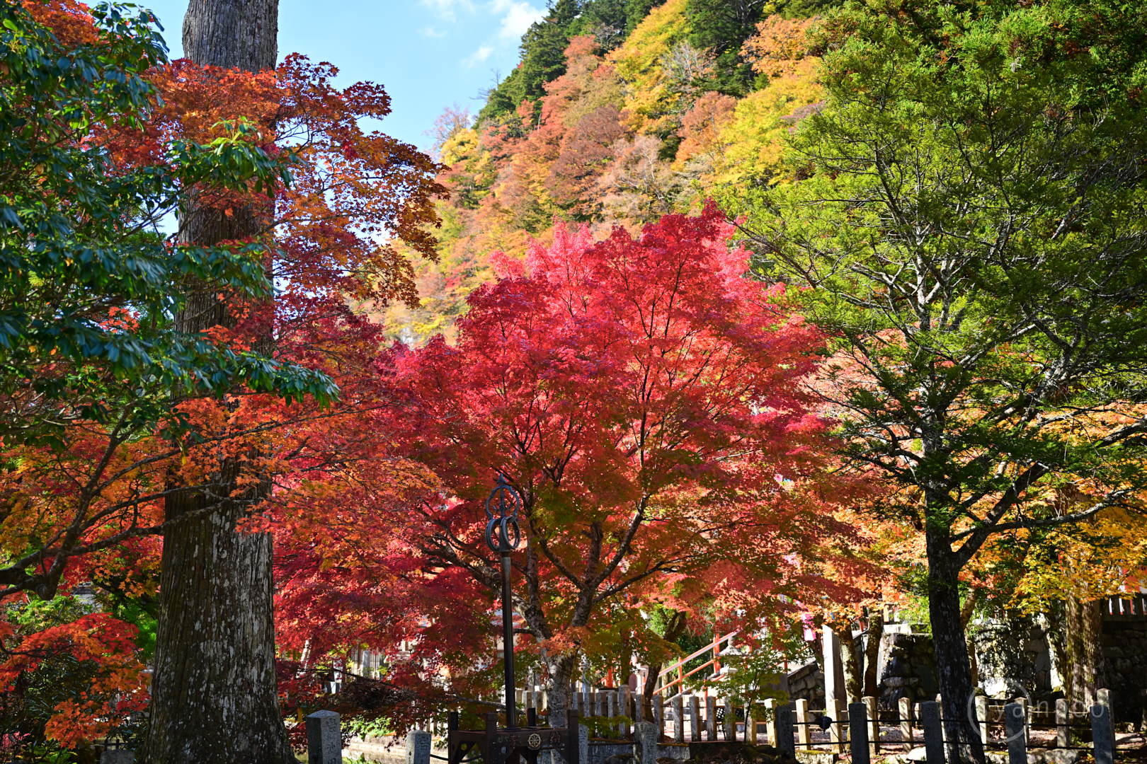 https://www.yaotomi.co.jp/blog/walk/DSC_0181Z8%2C38%20mm%2CF3.2%2Ciso100%28JPEG%29.jpg