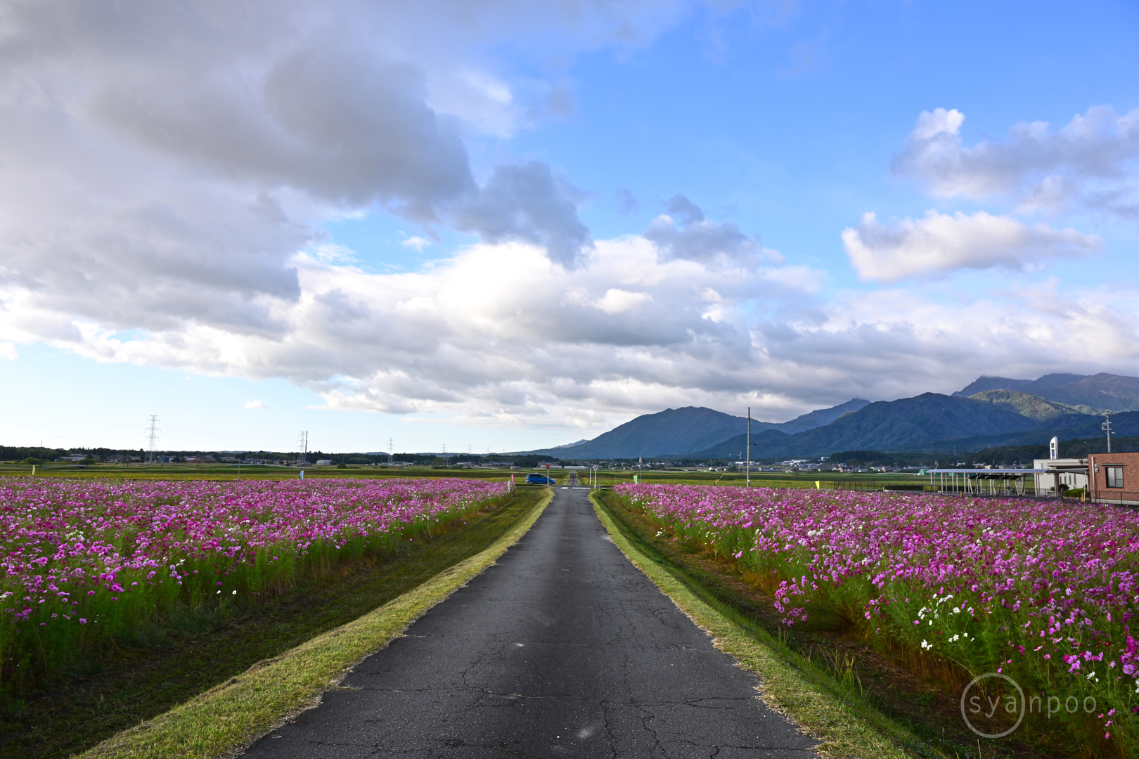 https://www.yaotomi.co.jp/blog/walk/DSC_0685Z8%2C24%20mm%2CF14%2Ciso100%28JPEG%29.jpg