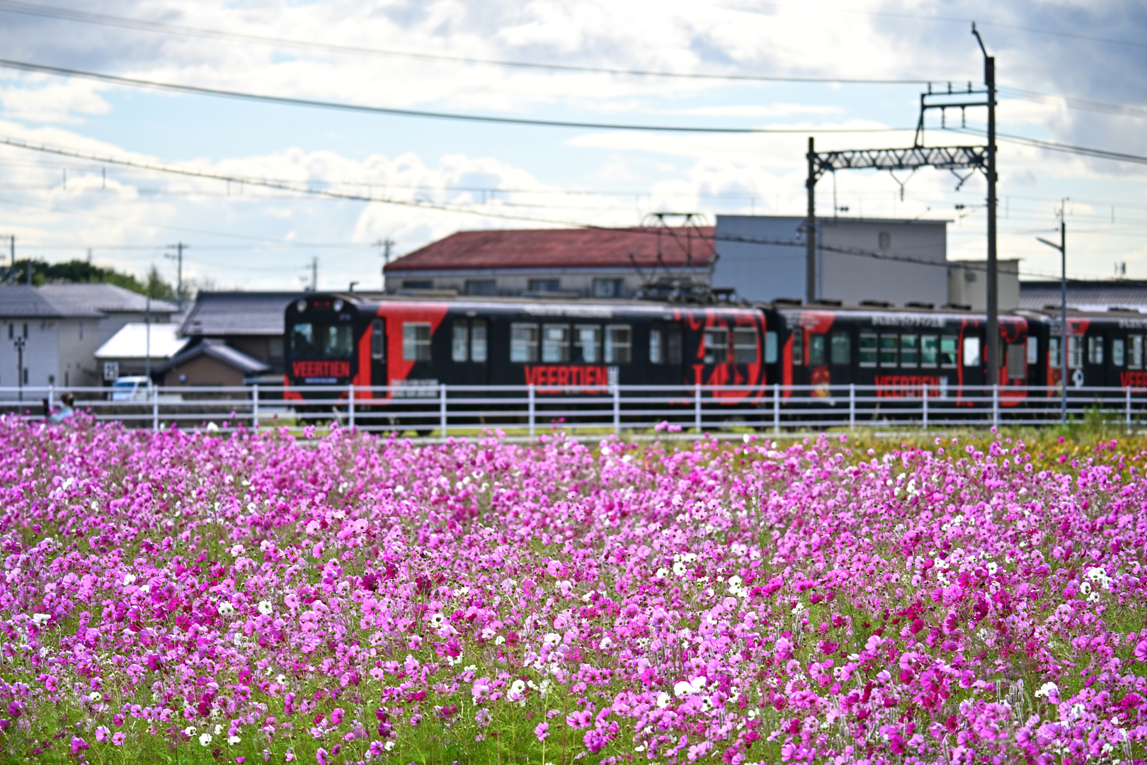 https://www.yaotomi.co.jp/blog/walk/DSC_0917Z8%2C174%20mm%2CF5%2Ciso400%28JPEG%29.jpg