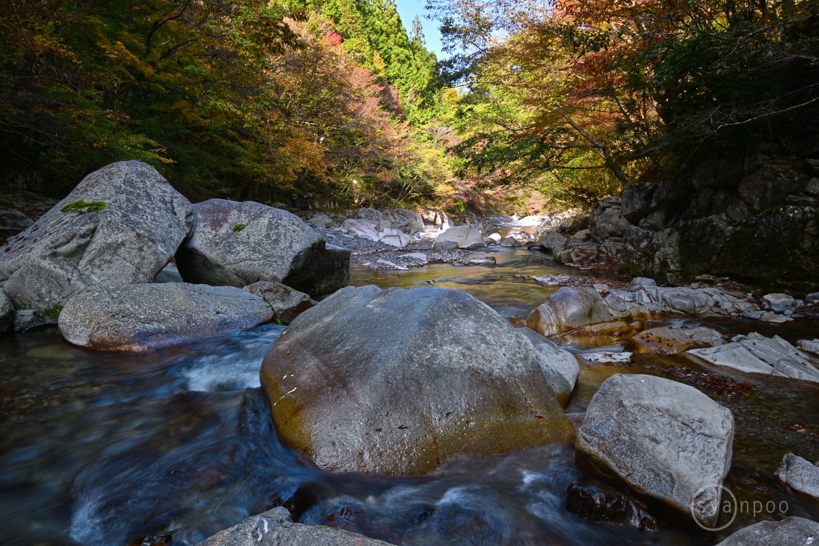 https://www.yaotomi.co.jp/blog/walk/DSC_0981Z8%2C24%20mm%2CF20%2Ciso100%28JPEG%29.jpg