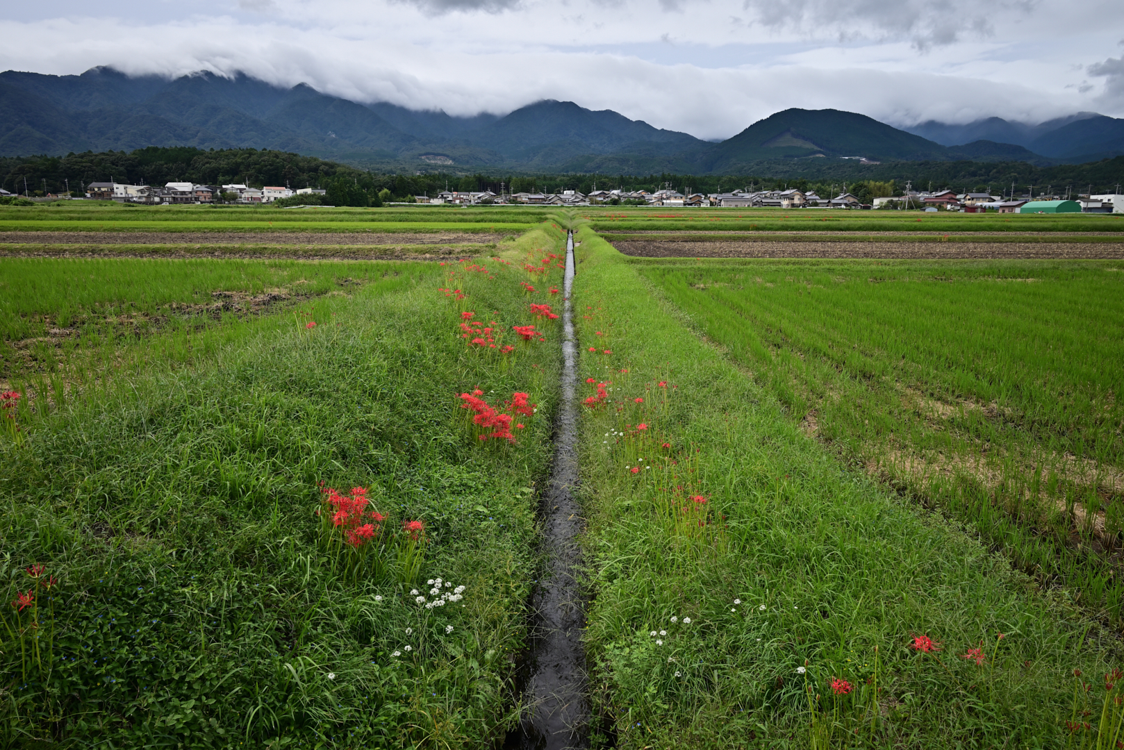 https://www.yaotomi.co.jp/blog/walk/DSC_1001_NDX%2CNIKON%20Z%205%2C24%20mm_2020yaotomi.jpg