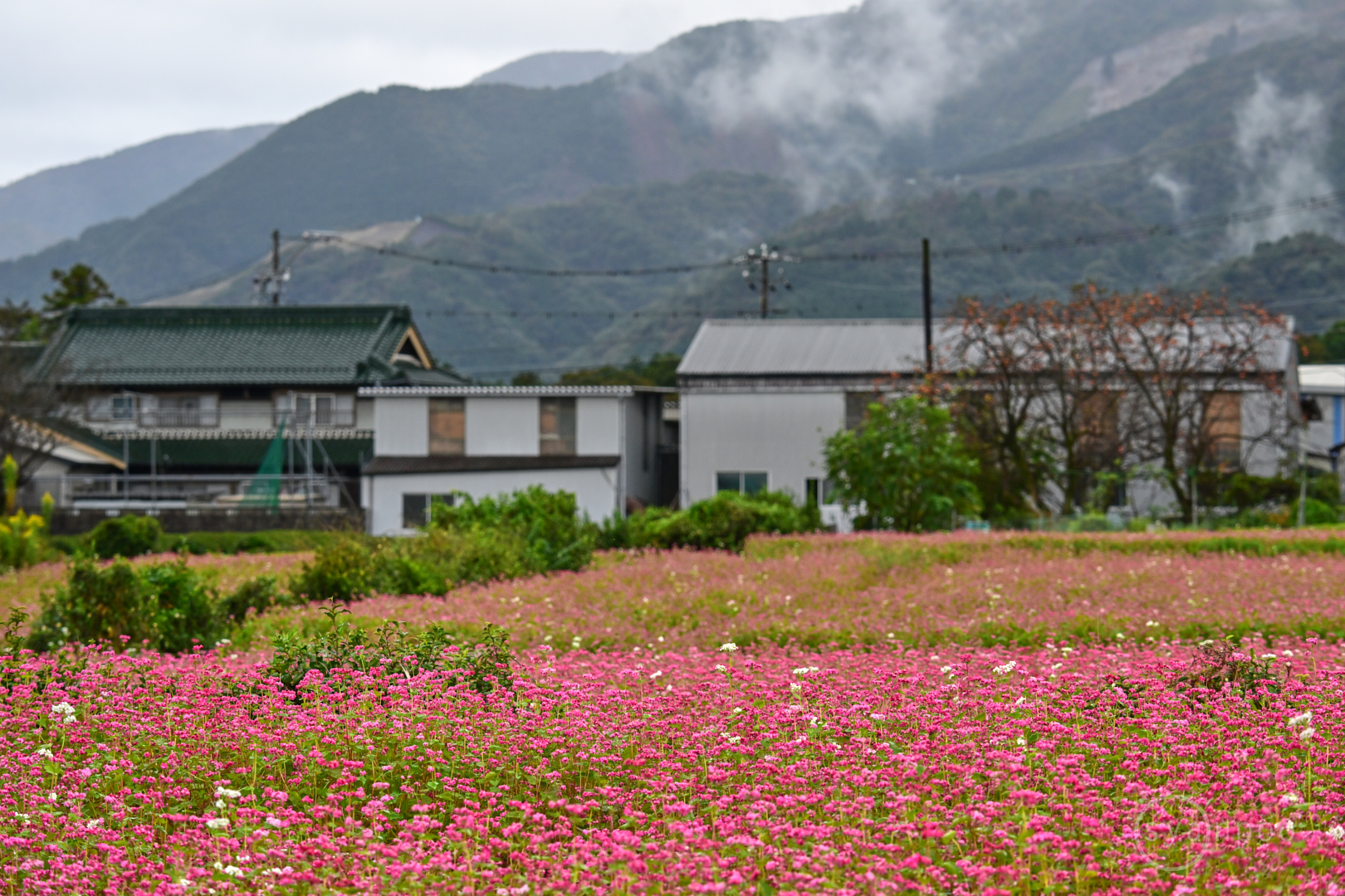 https://www.yaotomi.co.jp/blog/walk/DSC_1113Z8%2C150%20mm%2CF8%2Ciso800%28JPEG%29.jpg