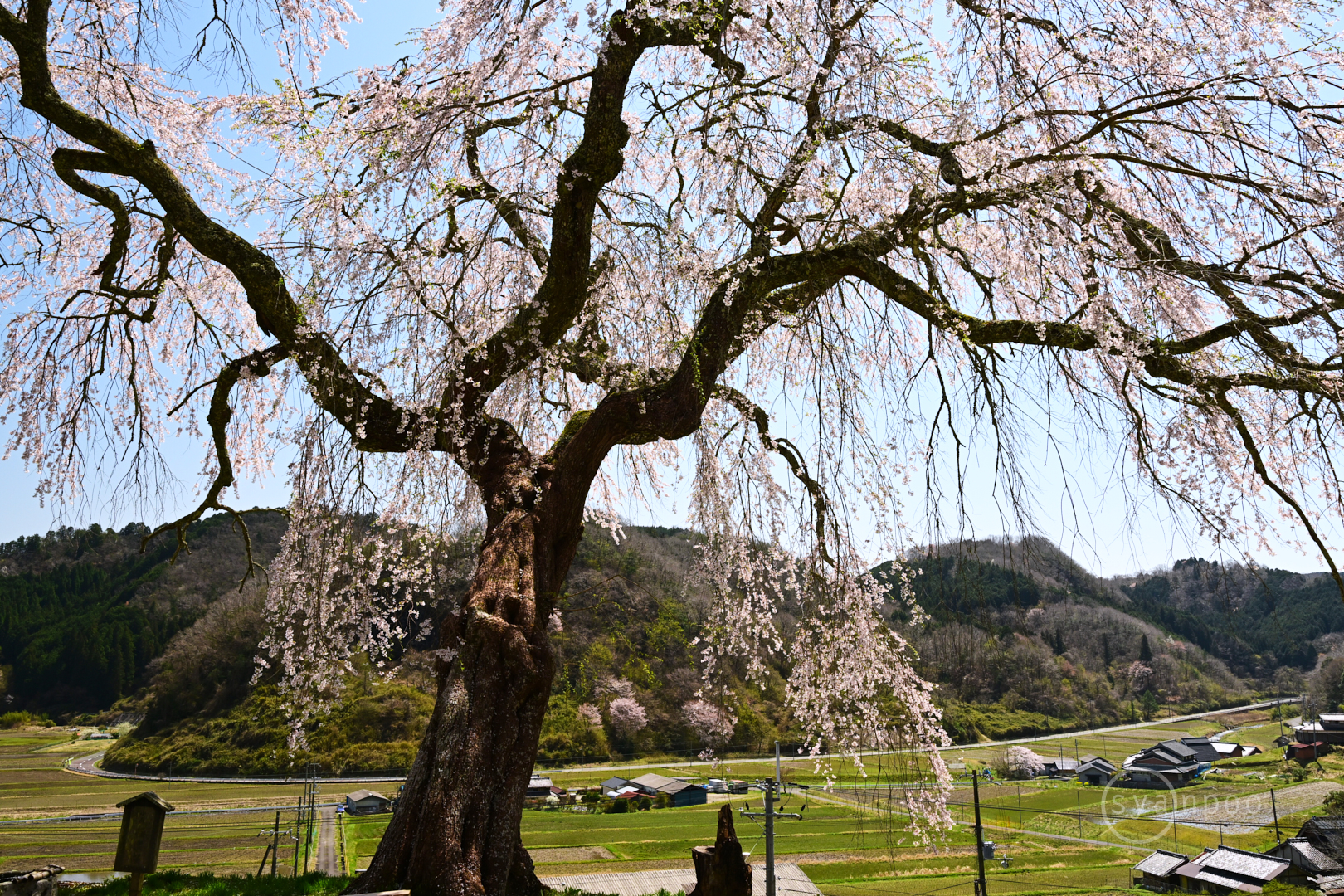 https://www.yaotomi.co.jp/blog/walk/DSC_1146%2C28%20mm%2CF9%2Ciso800%28JPEG%29.jpg