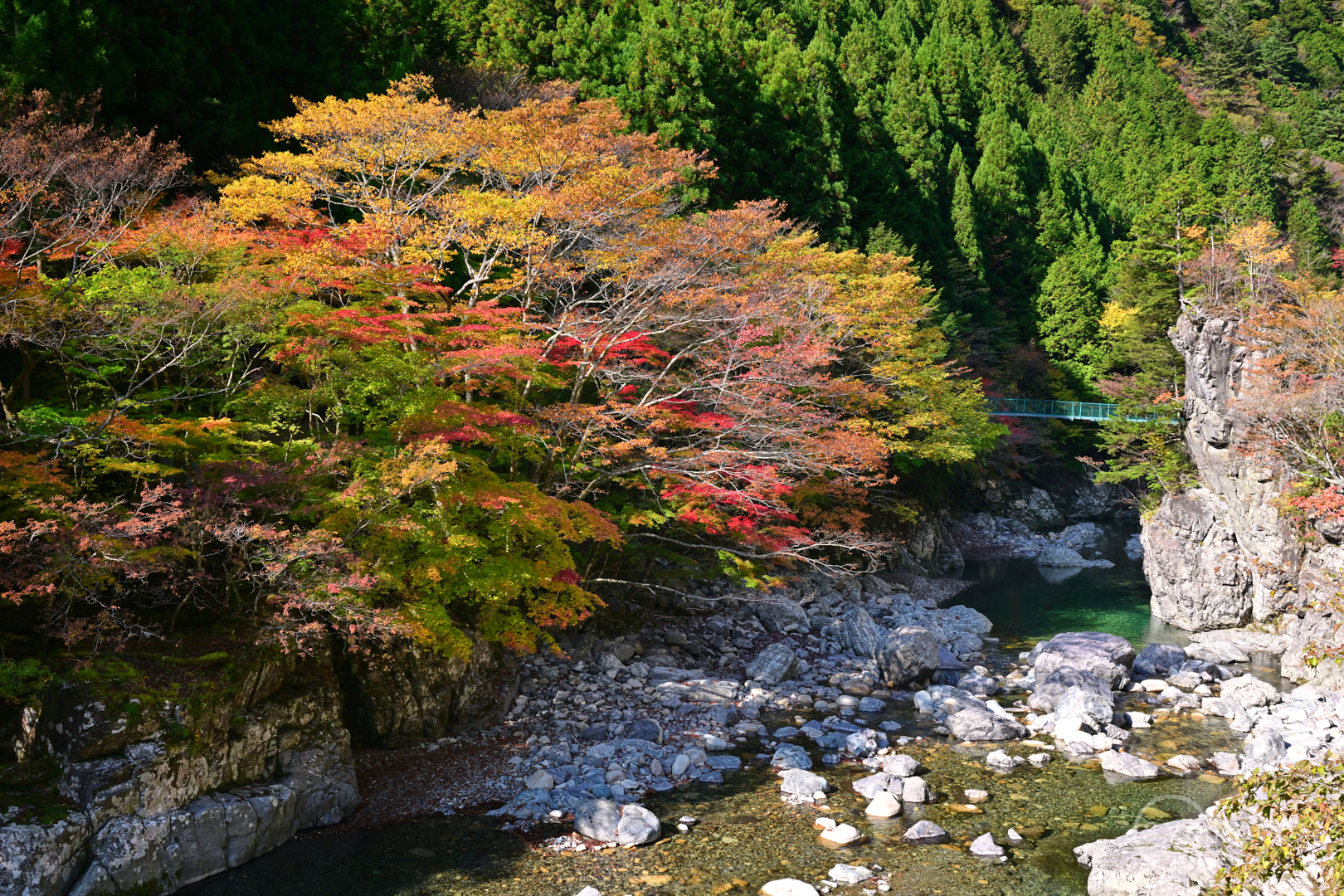 https://www.yaotomi.co.jp/blog/walk/DSC_1148Z8%2C35%20mm%2CF9%2Ciso140%28JPEG%29.jpg