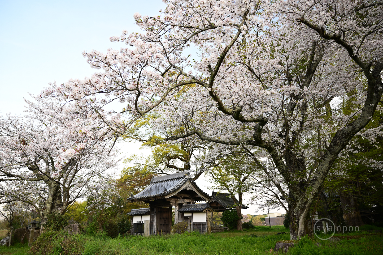 https://www.yaotomi.co.jp/blog/walk/DSC_1306%2C24%20mm%2CF2.8%2Ciso100%28JPEG%29.jpg