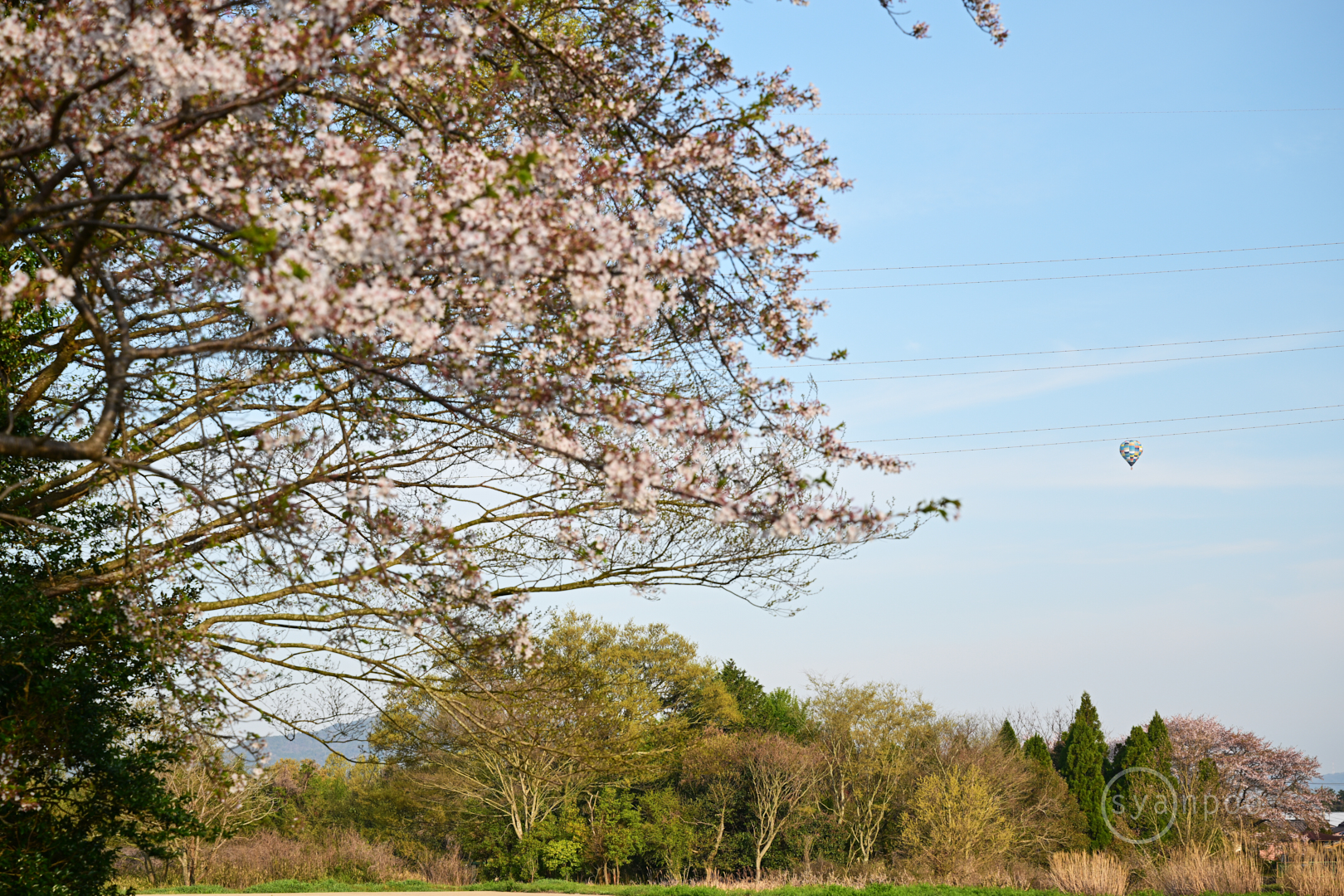 https://www.yaotomi.co.jp/blog/walk/DSC_1474%2C70%20mm%2CF6.3%2Ciso125%28JPEG%29.jpg