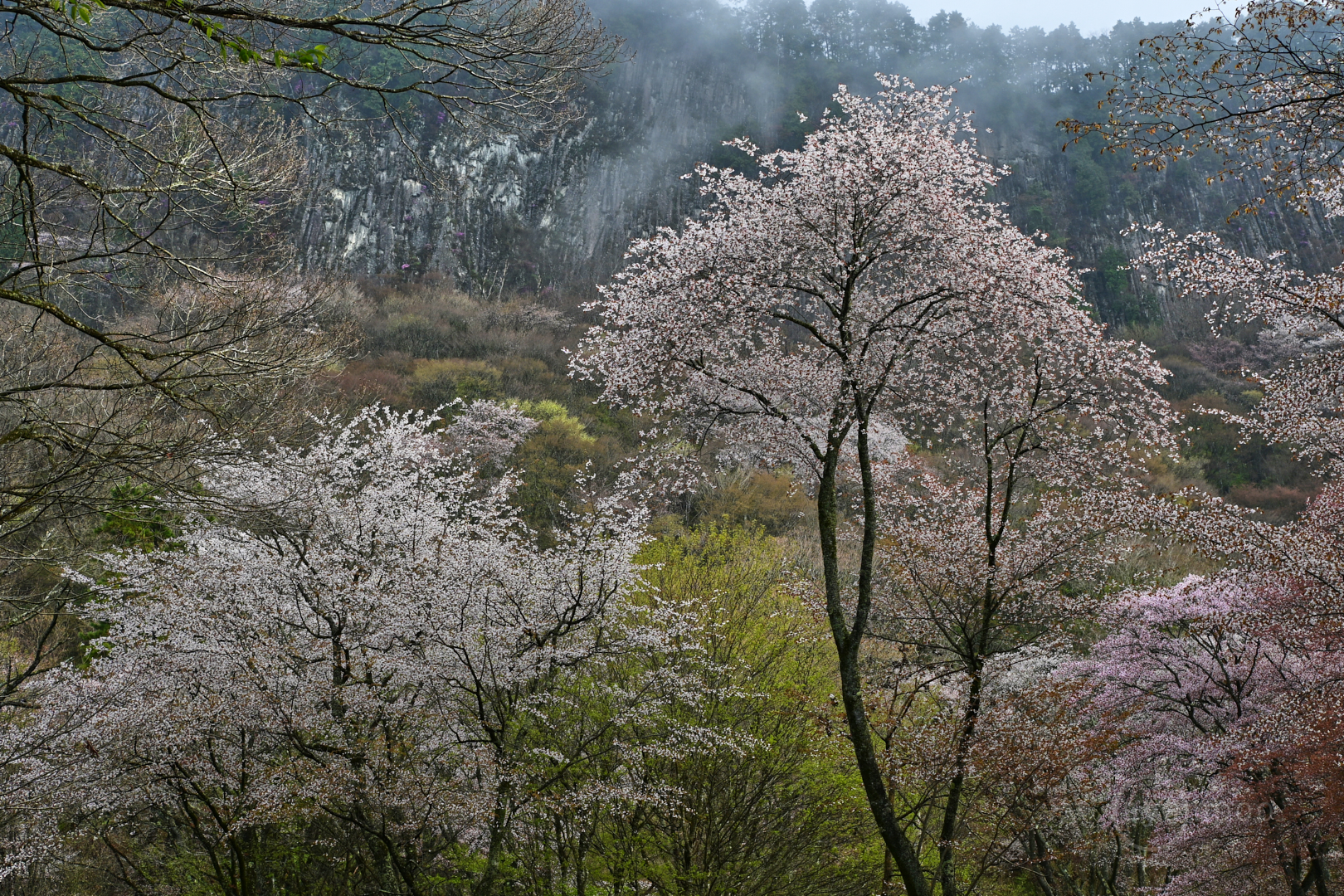 https://www.yaotomi.co.jp/blog/walk/DSC_1804%2C30%20mm%2CF8%2Ciso100%28JPEG%29%201.jpg