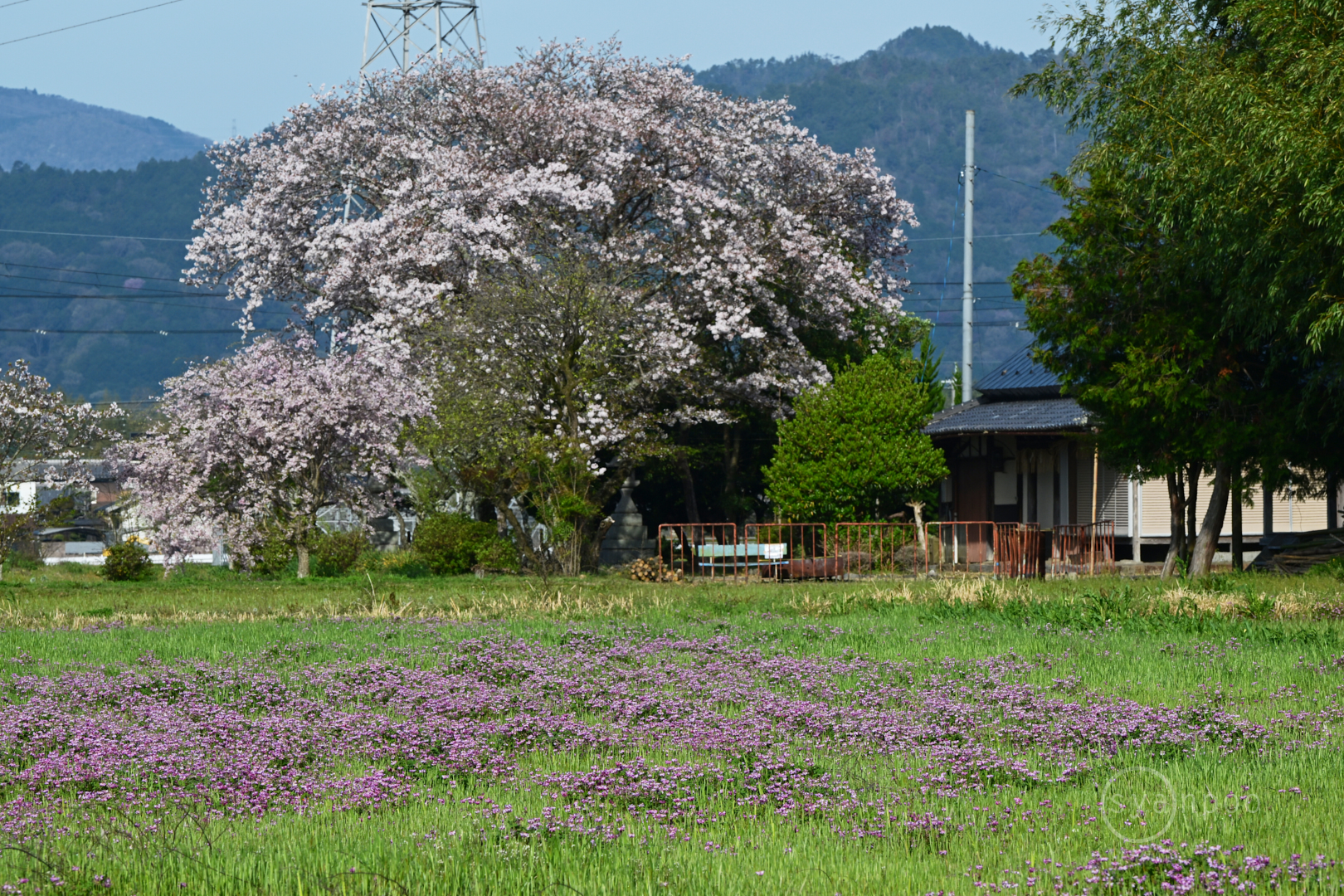 https://www.yaotomi.co.jp/blog/walk/DSC_2046%2C200%20mm%2CF16%2Ciso220%28JPEG%29.jpg