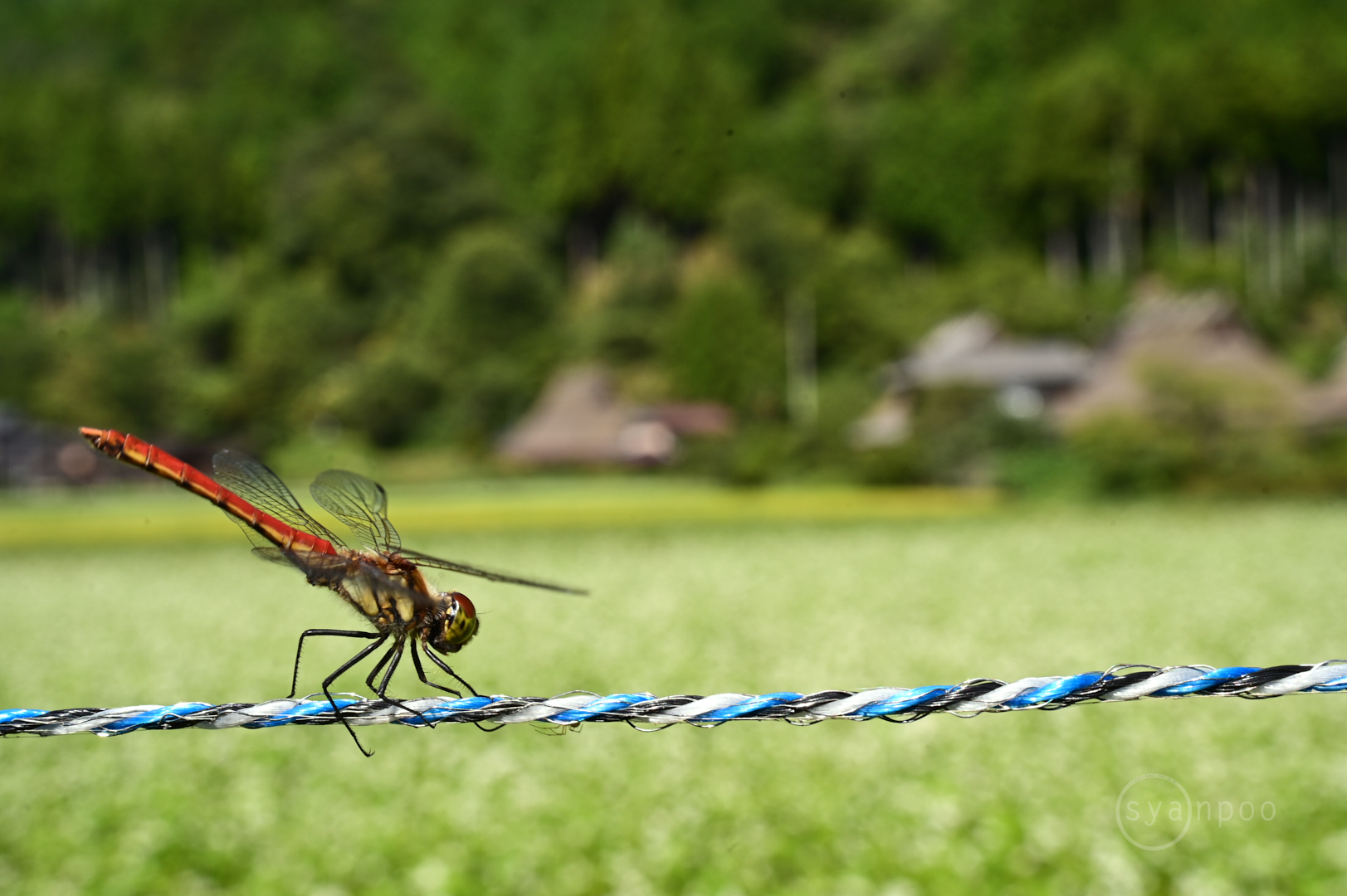 https://www.yaotomi.co.jp/blog/walk/DSC_2200%2C50%20mm%2CF16%2C1-60%20%E7%A7%92%2Ciso320%28JPEG%29.jpg