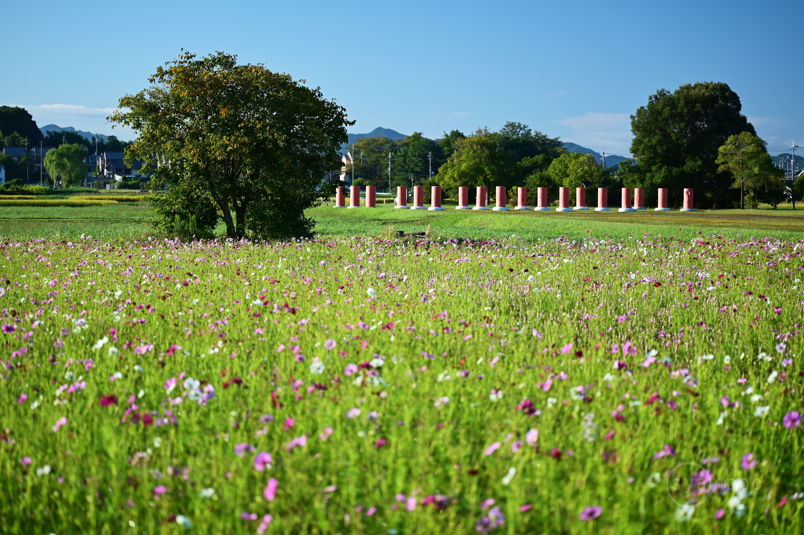 https://www.yaotomi.co.jp/blog/walk/DSC_3156%2C90%20mm%2CF3.2%2C1-400%20%E7%A7%92%2Ciso100%28JPEG%29.jpg