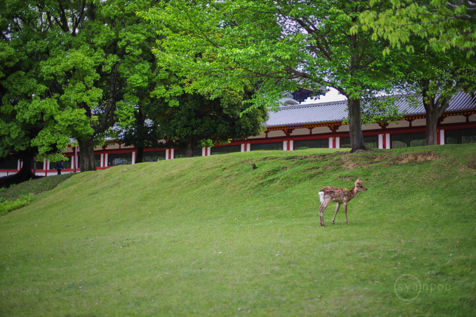 https://www.yaotomi.co.jp/blog/walk/IMGP3095HD%2C50%20mm%2CF1.8%2Ciso100%28JPEG%29.jpg