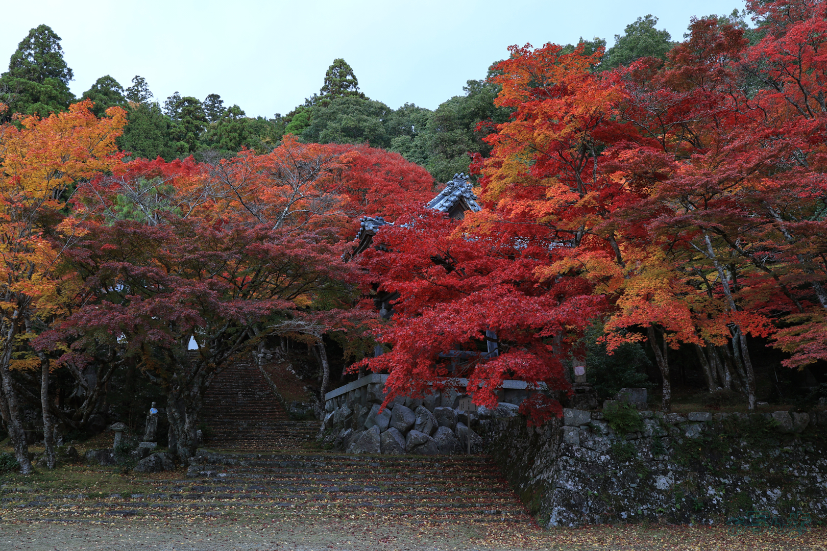 https://www.yaotomi.co.jp/blog/walk/IMG_0448%2C20%20mm%2CF7.1%2C0.4%20%E7%A7%92%2Ciso100%28JPEG%29.jpg