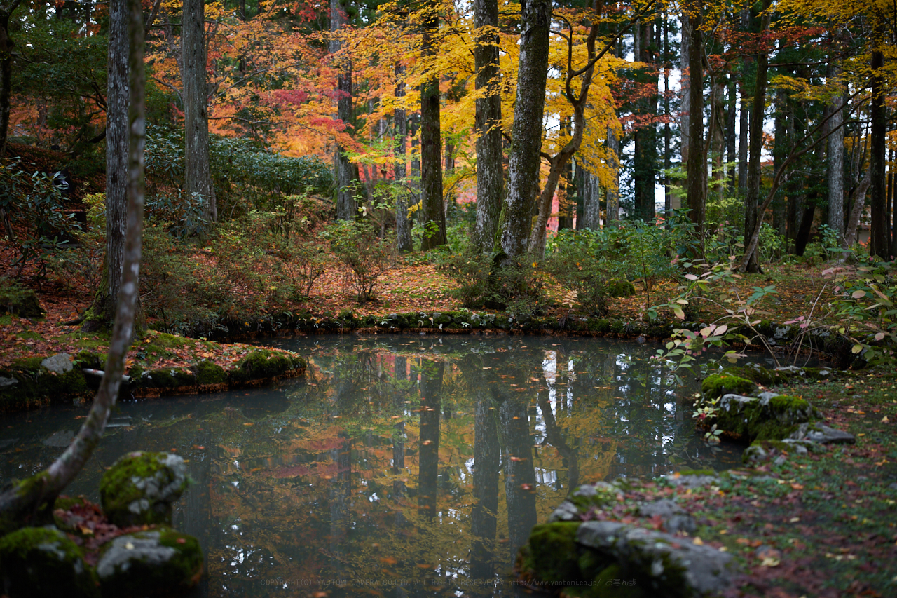 https://www.yaotomi.co.jp/blog/walk/IMG_4742_40%20mm%28F1.4%29iso100_2018yaotomi.jpg