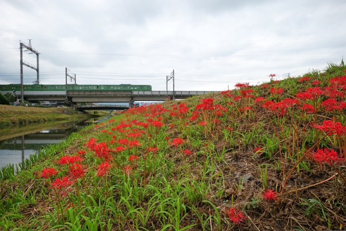 https://www.yaotomi.co.jp/blog/walk/P1000551%2C18%20mm%2CF14%2Ciso1600%28JPEG%29.jpg