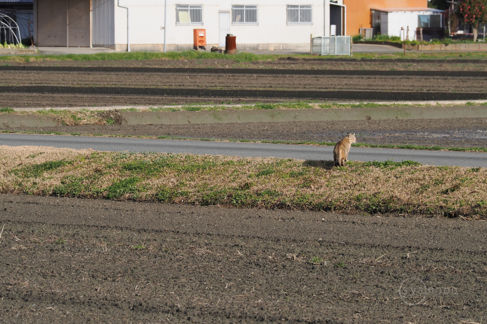 https://www.yaotomi.co.jp/blog/walk/P3020514%2C150%20mm%2CF8%2Ciso200%28JPEG%29.jpg