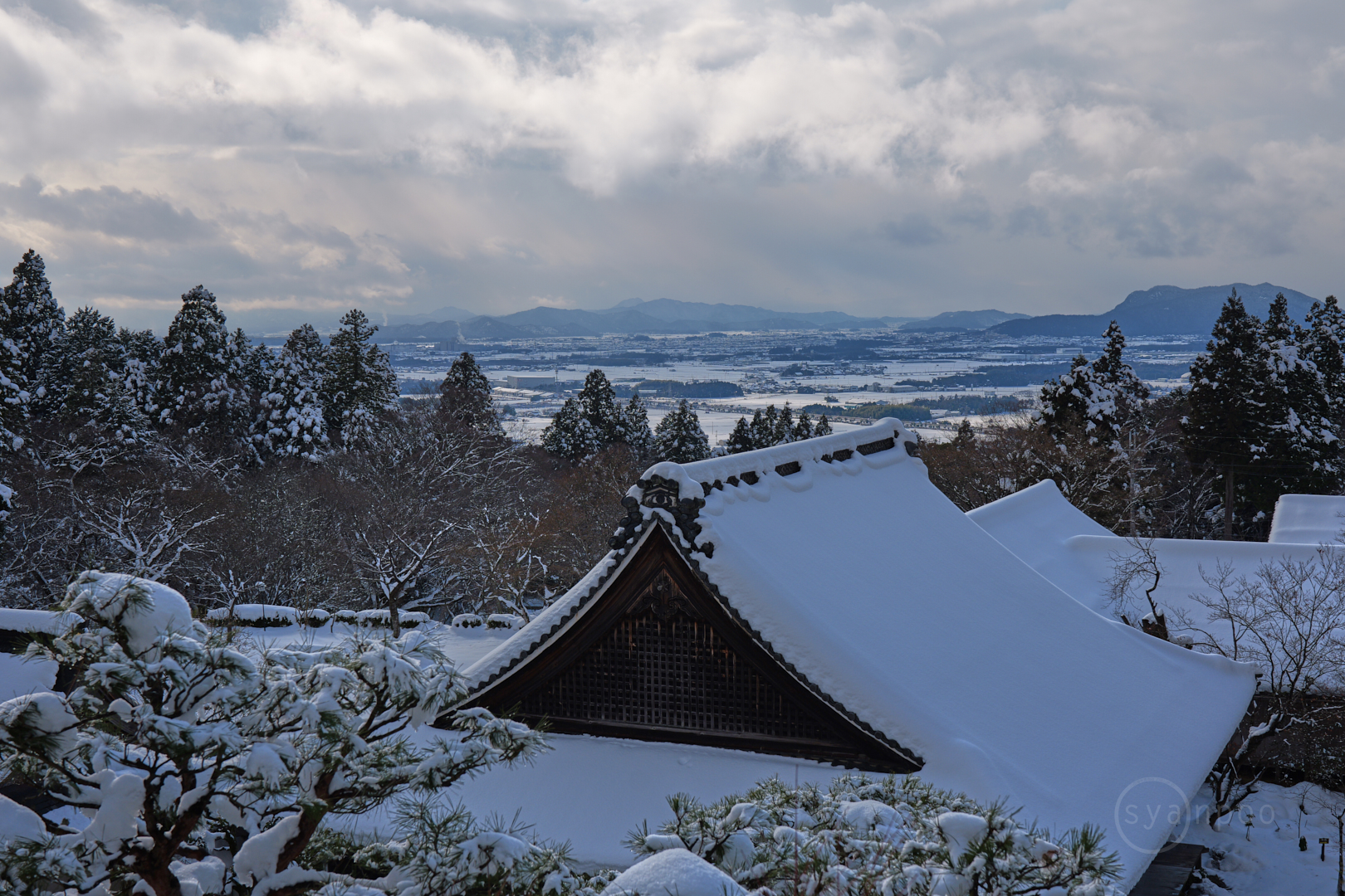 https://www.yaotomi.co.jp/blog/walk/PANA1715%2C50%20mm%2CF9%2Ciso100%28JPEG%29.jpg