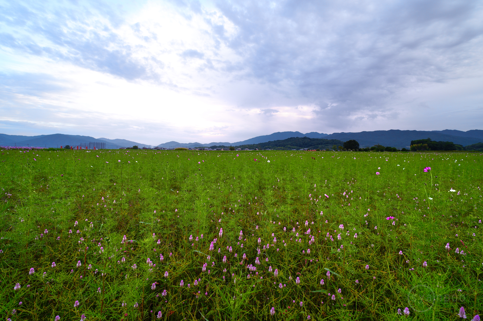 https://www.yaotomi.co.jp/blog/walk/SDIM0153%2C10%20mm%2CF5%2Ciso100%28JPEG%29.jpg