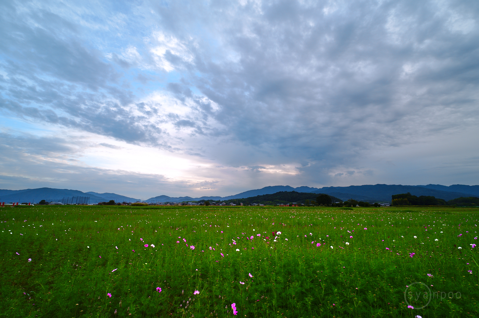 https://www.yaotomi.co.jp/blog/walk/SDIM0161%2C10%20mm%2CF7.1%2Ciso100%28JPEG%29.jpg