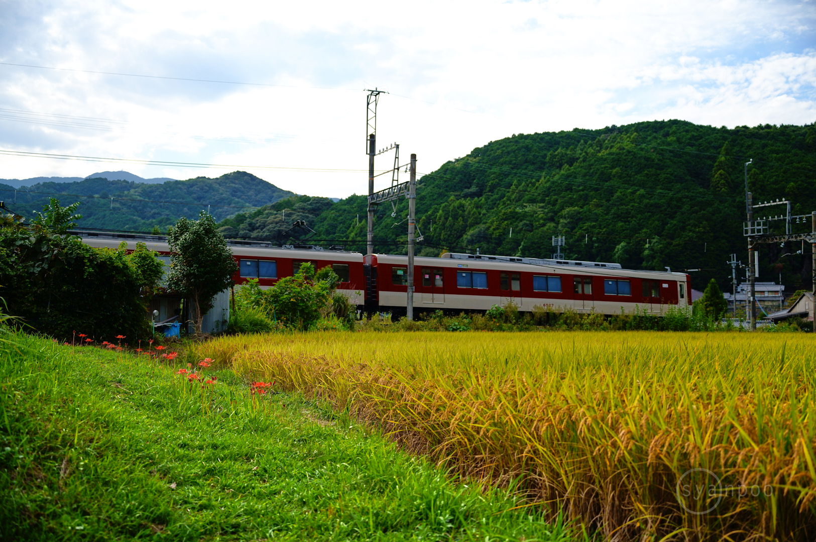 https://www.yaotomi.co.jp/blog/walk/SDIM0246%2C42%20mm%2CF2.8%2C1-2500%20%E7%A7%92%2Ciso800%28JPEG%29.jpg