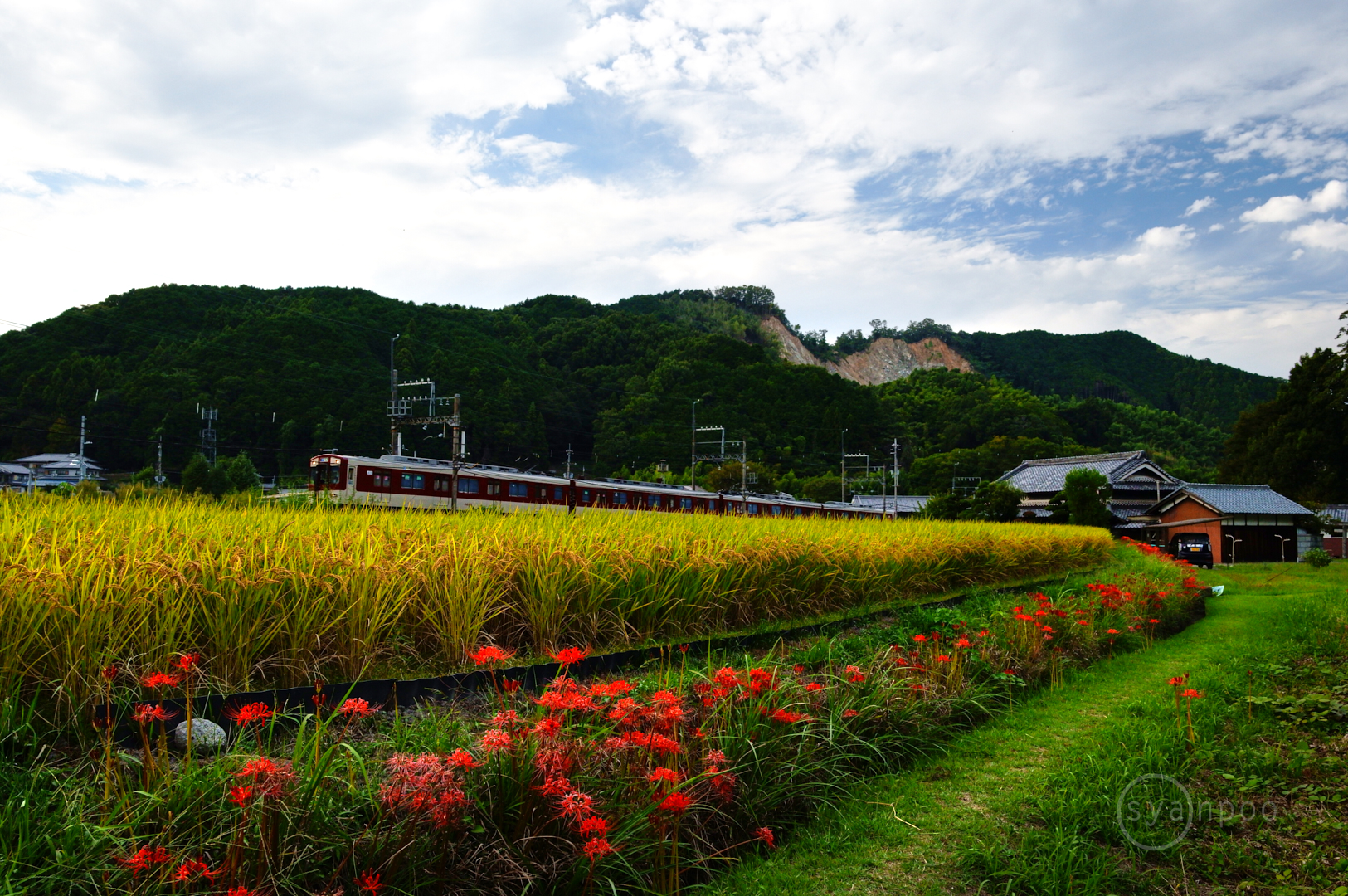 https://www.yaotomi.co.jp/blog/walk/SDIM0265%2C28%20mm%2CF9%2C1-400%20%E7%A7%92%2Ciso1600%28JPEG%29.jpg