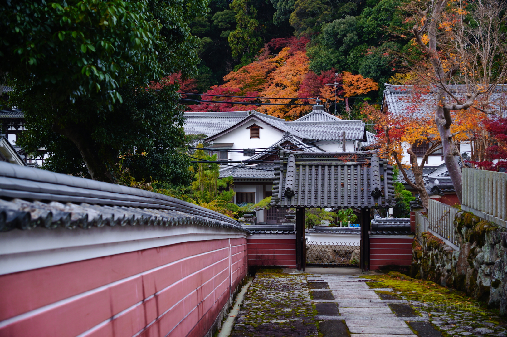 https://www.yaotomi.co.jp/blog/walk/SDIM0533%2C28%20mm%2CF2.8%2Ciso100%28JPEG%29.jpg