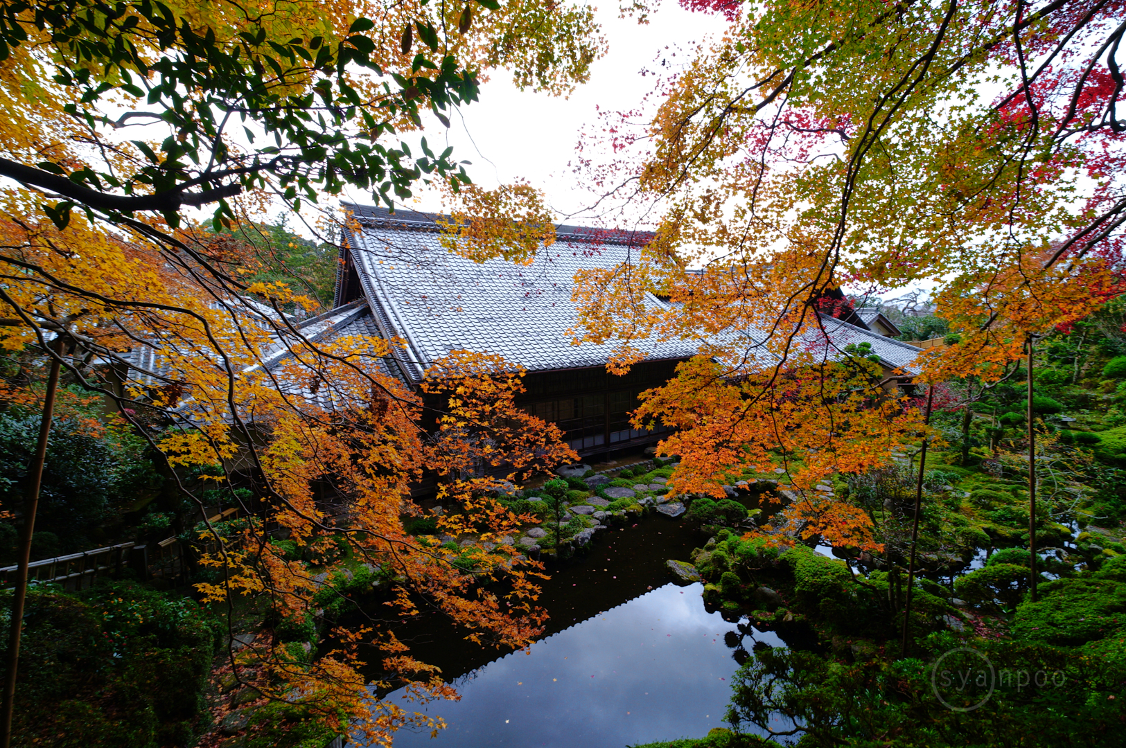 https://www.yaotomi.co.jp/blog/walk/SDIM0647%2C10%20mm%2CF5.6%2Ciso200%28JPEG%29.jpg