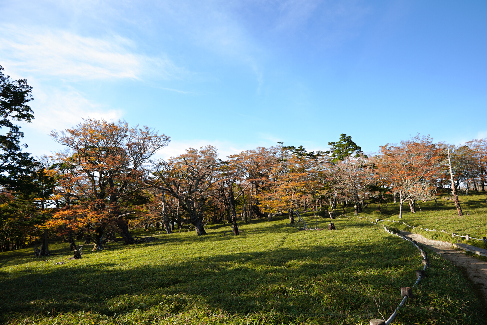 https://www.yaotomi.co.jp/blog/walk/SDIM0851%2C24%20mm%2CF8%2Ciso100.jpg