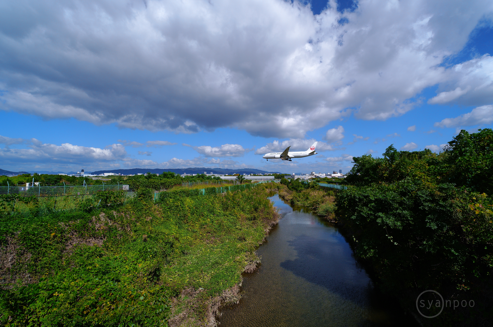 https://www.yaotomi.co.jp/blog/walk/SDIM1062%2C10%20mm%2CF7.1%2Ciso100%28JPEG%29.jpg